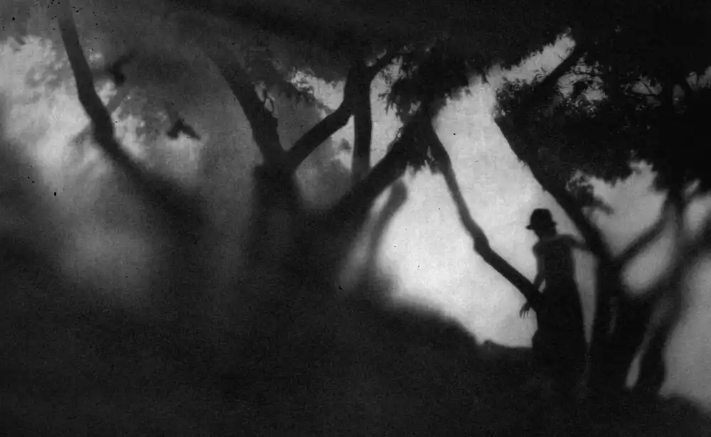 Tsuchida, Teruhiko: Luce e oscurità...