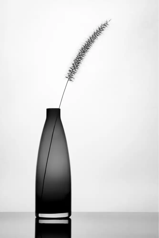 Amer, Eyal: Minimalista