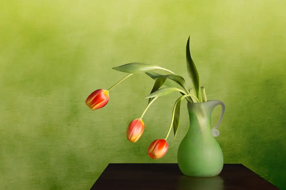 Hewson, Darlene: Hängende Tulpen