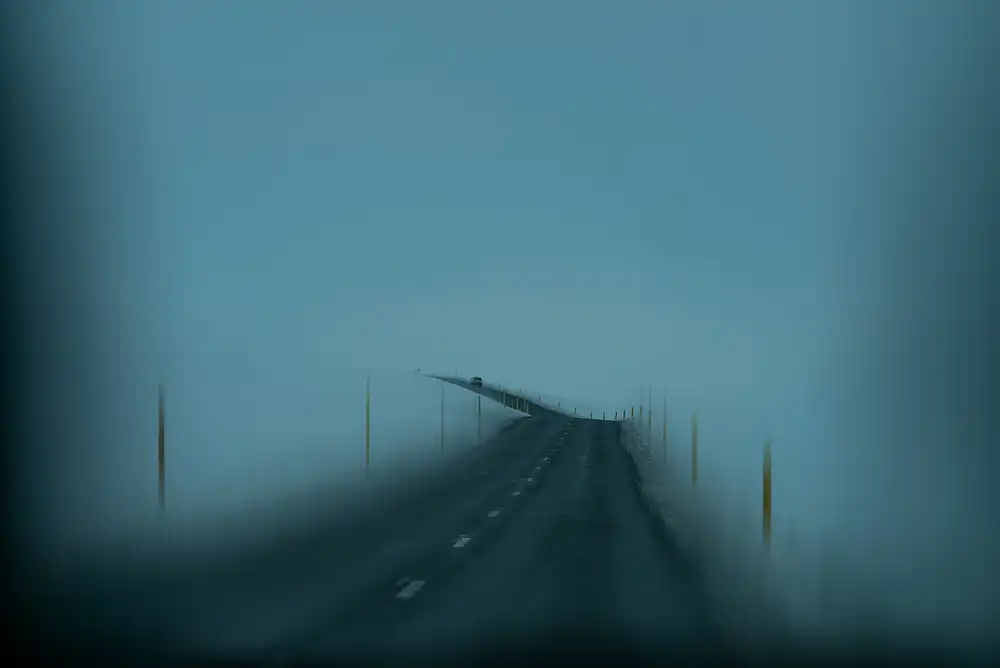 Z, Bingo: La strada