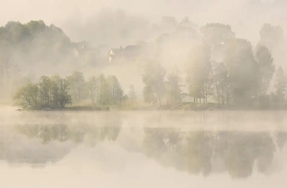 Wallberg, Allan: Früher Morgen.