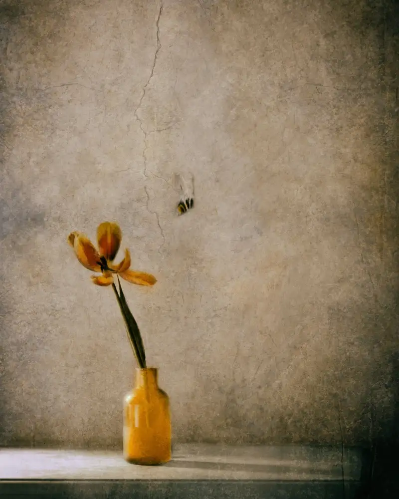 Devos, Delphine: La flor y la abeja