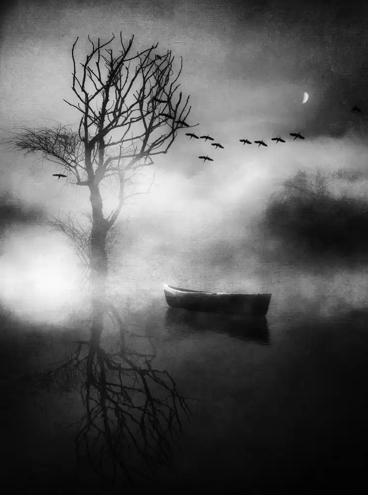 Gerber, Charlaine: Come in un sogno...