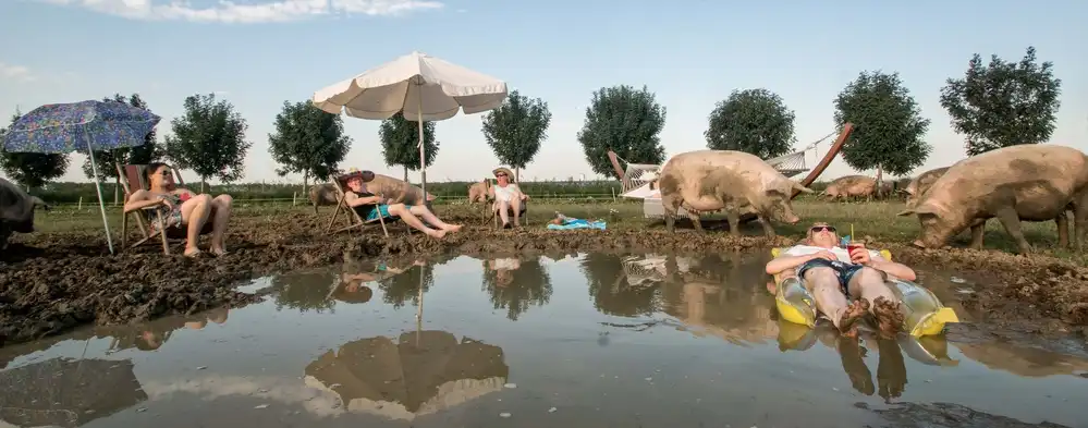 Bosch, den Gert: La bella vita