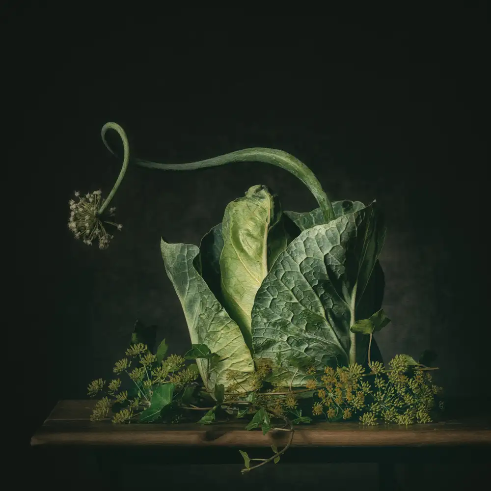 Velzen, van Monique: A green fairytale