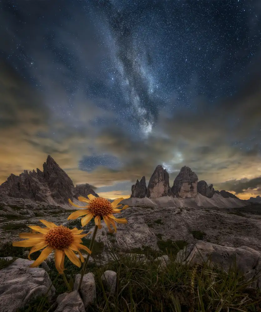 Panizza, Ghizzi Alberto: Anche i fiori sembrano affascinati dalle stelle