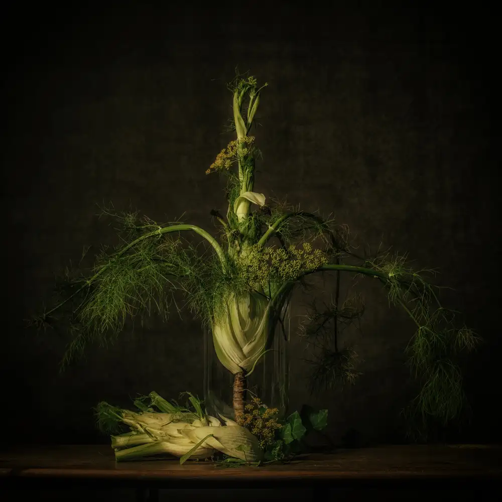Velzen, van Monique: Still life Fennel