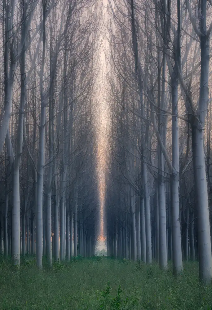 Zhu, Jingshu: Momento di silenzio