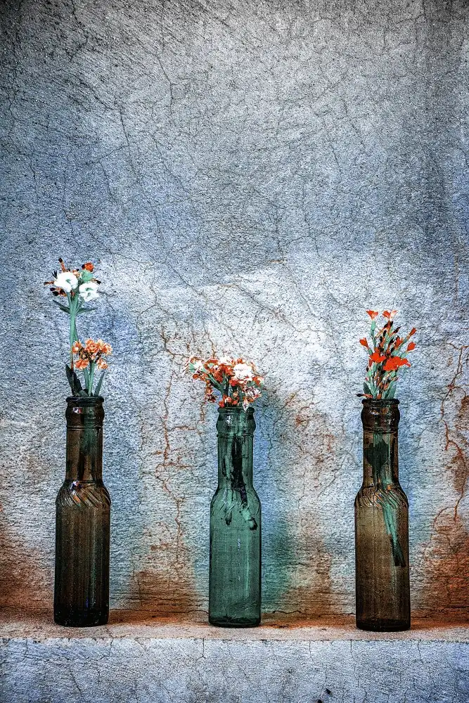 Saeidinia, Afshin: Piccoli fiori adorabili