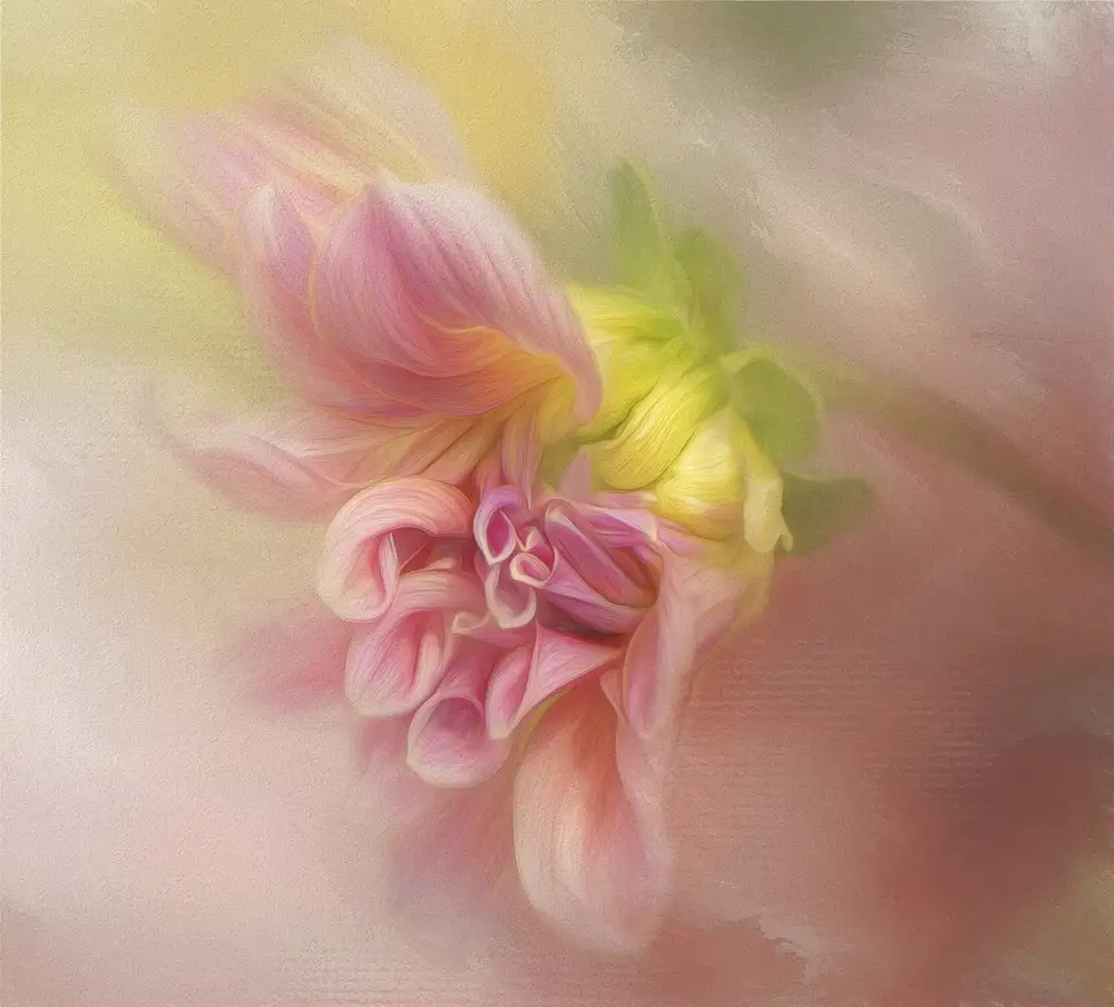 Gray, Gaille: Dalia emergente