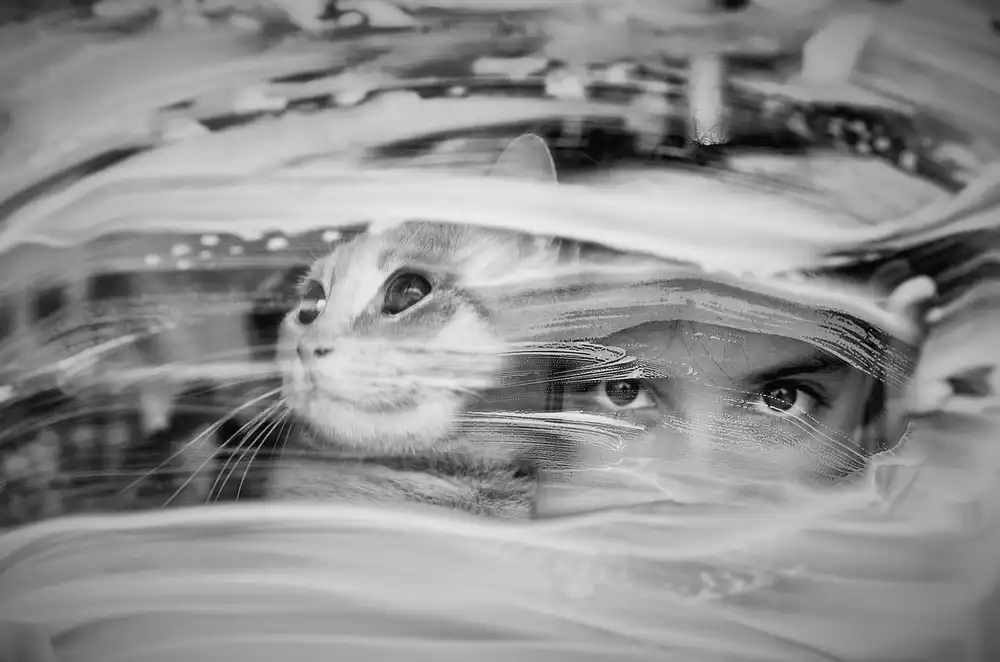 Basa, Emine: gatto e ragazza