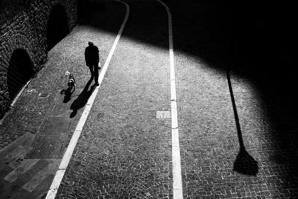 Lucidi, Riccardo: Tracks of life
