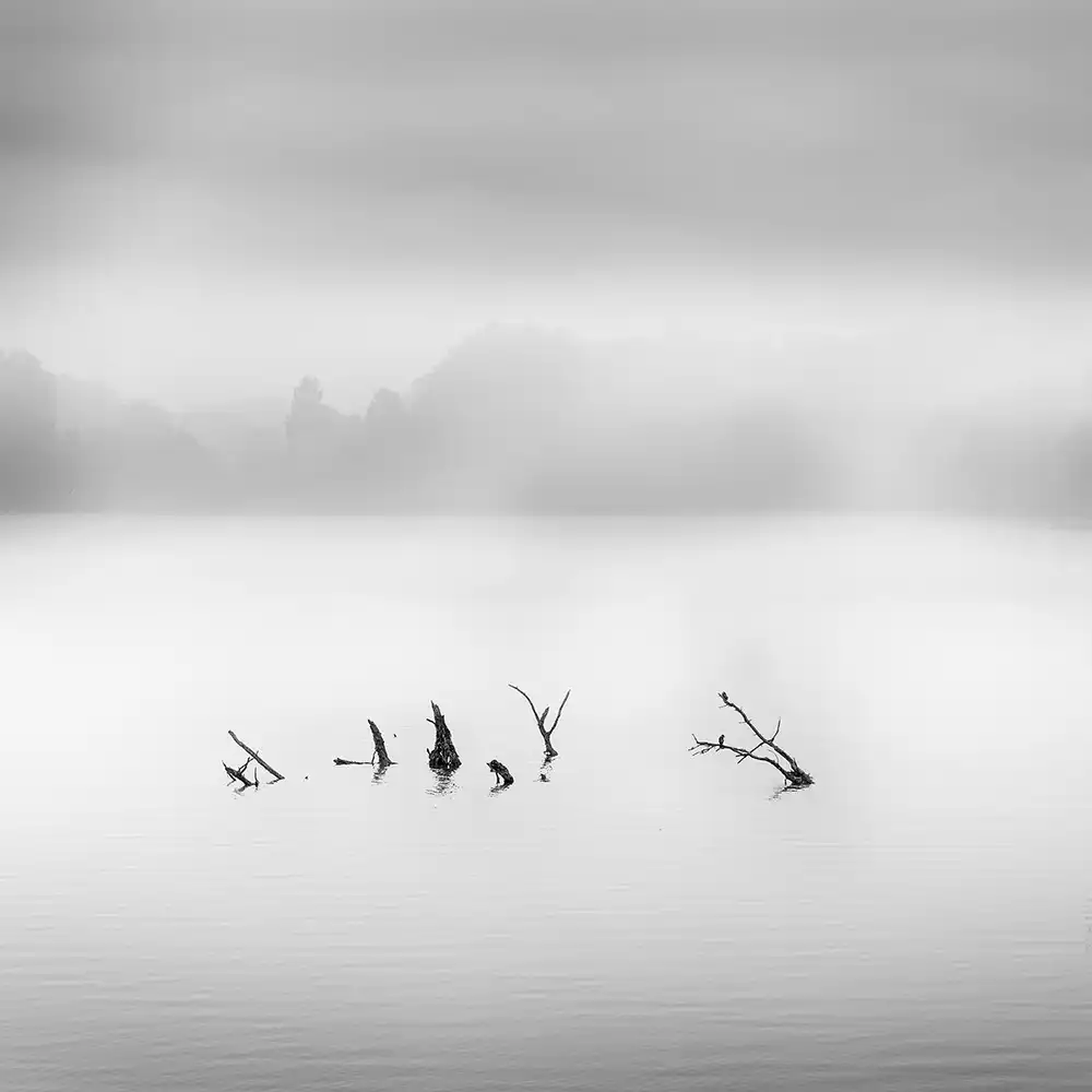 Digalakis, George: Waterland