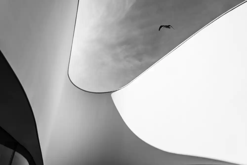 (laGrange), Vangindertael Luc: Curve