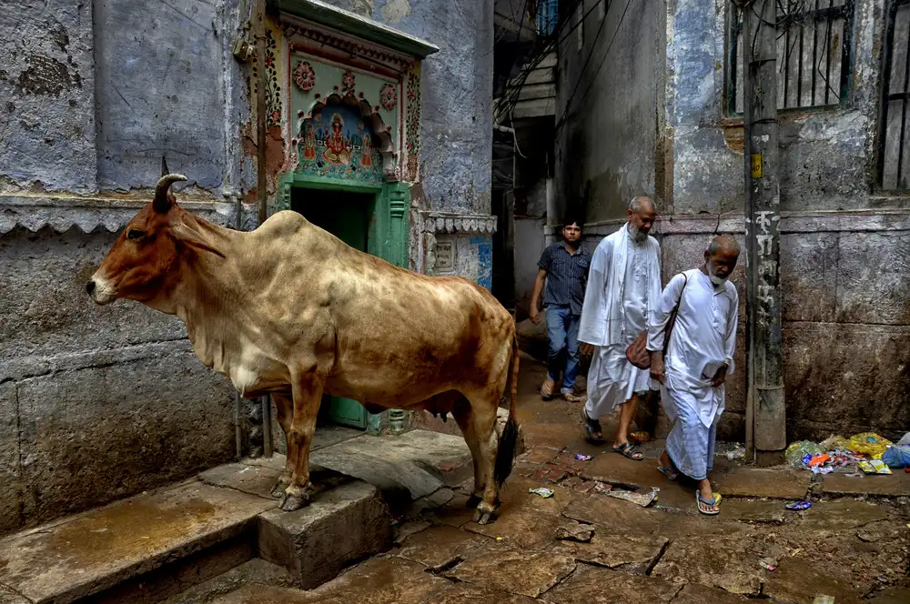 Das, Avishek: Via di Varanasi