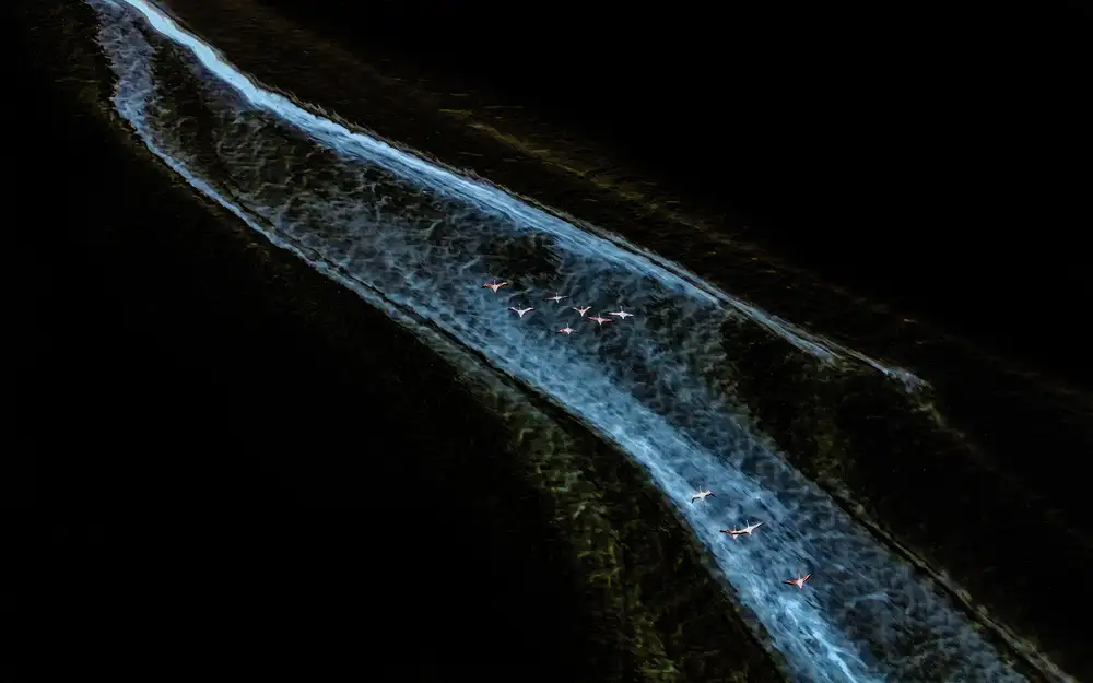 Chen, J. John: Tunnel de Lumière