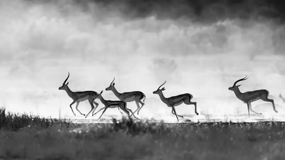 Zuo, Jun: Running