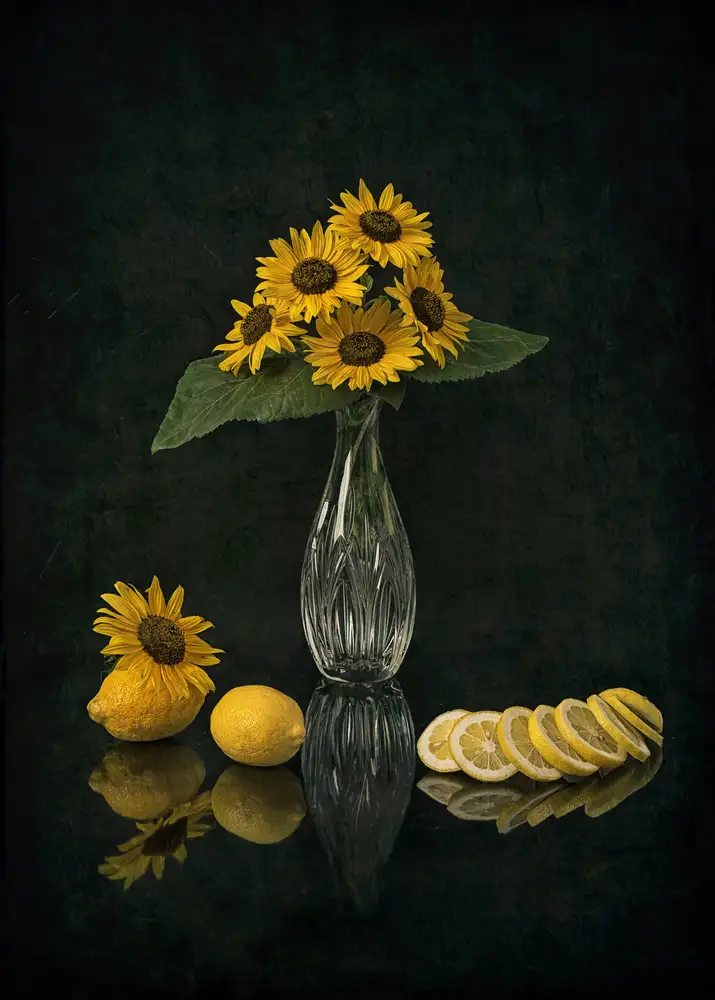Jacobs, Lydia: Girasoli e Limoni