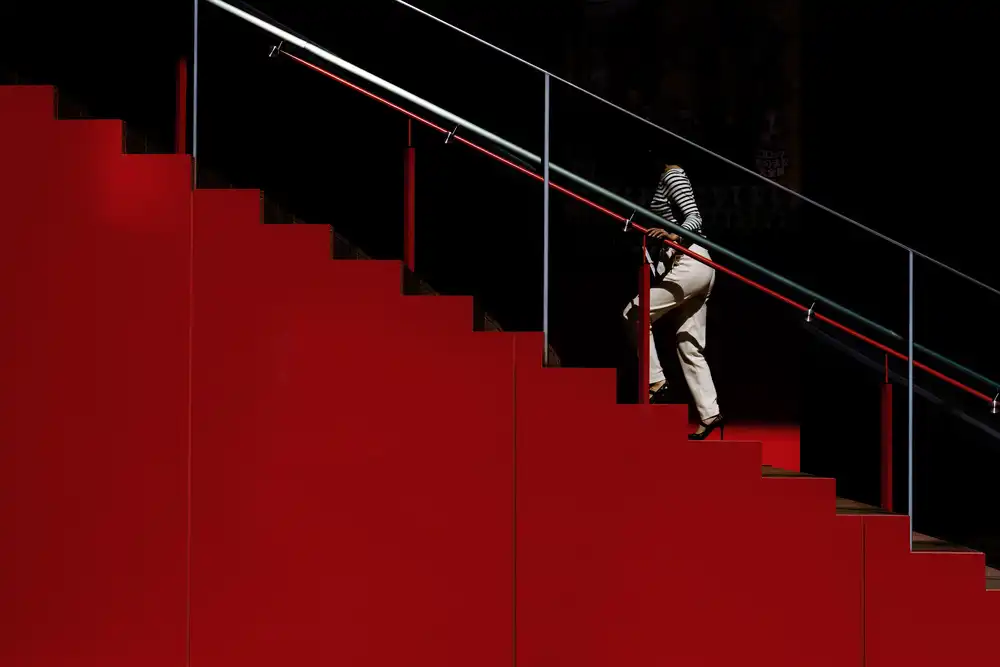 Hashimoto, Tetsuya: La scala cremisi