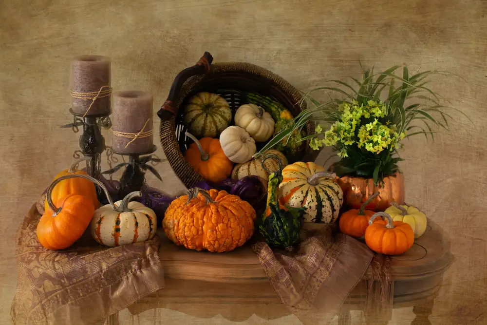 Hewson, Darlene: Herbsttreffen