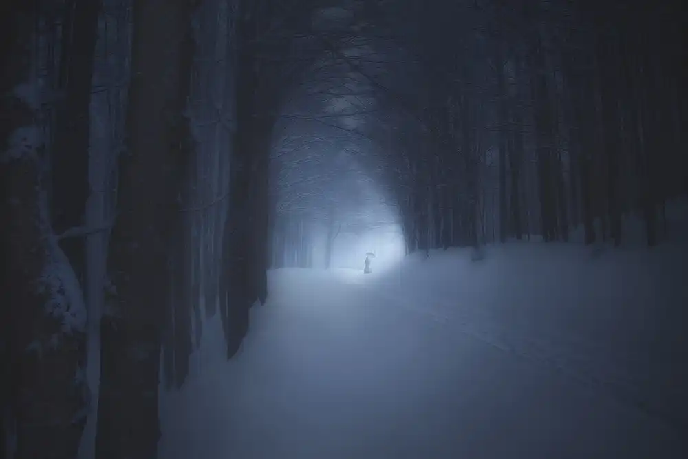 Lazzarotti, Paolo: UNA NOTTE D'INVERNO NELLA FORESTA