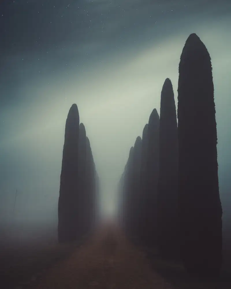 Fraccaroli, Andrea: Silenzio