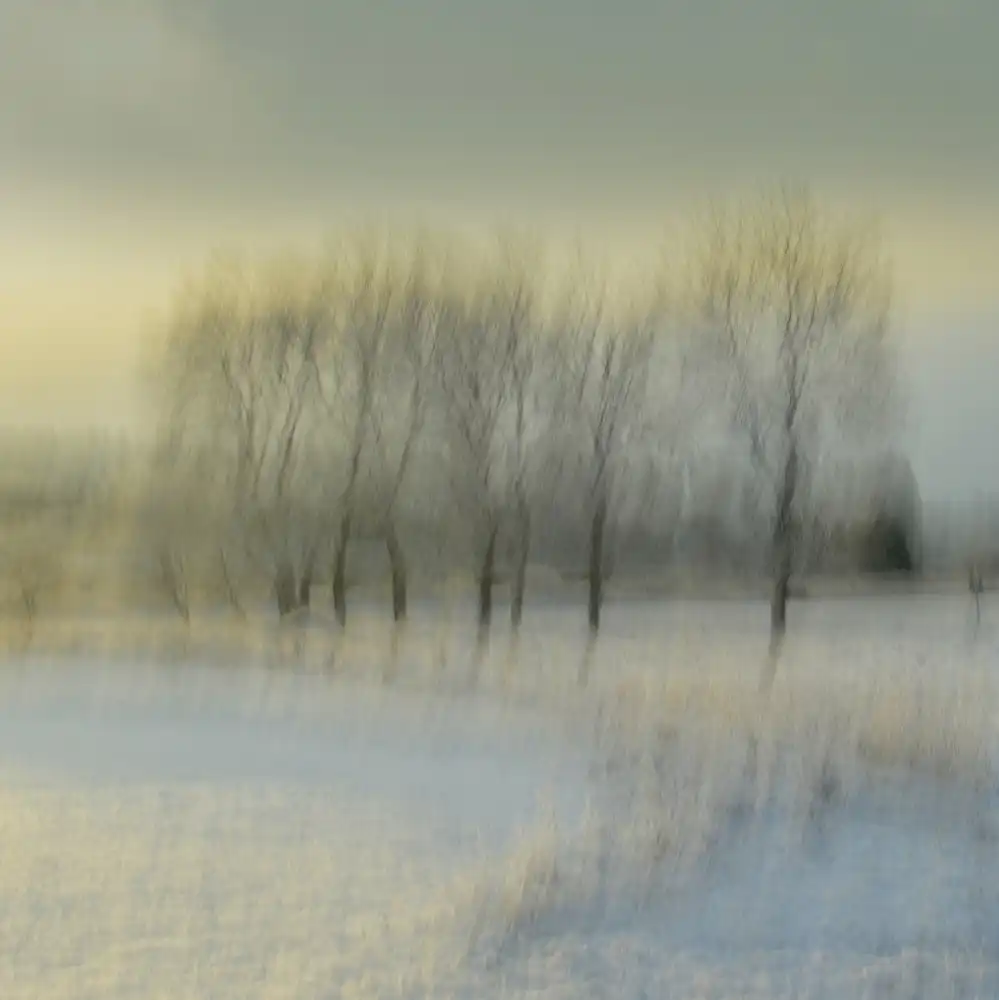 Sillèn, Christina: Mattino nevoso