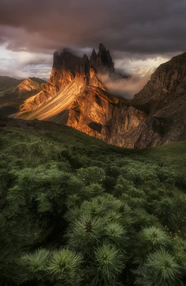 Huang, Stan: Seceda Estate