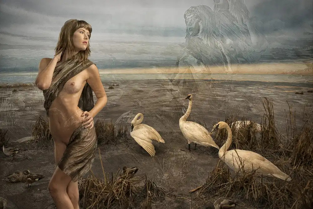 Gore, Tom: Léda et les cygnes