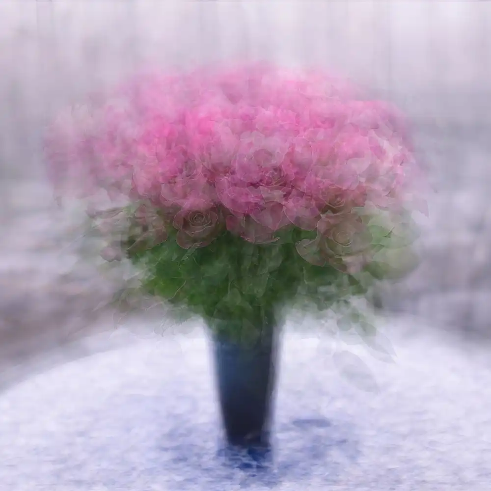 Holmström, Katarina: Rosen