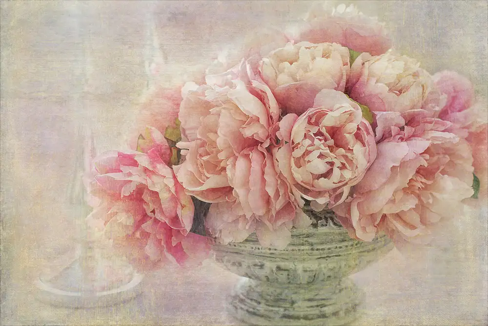 Gray, Gaille: Un mazzo di peonie rosa