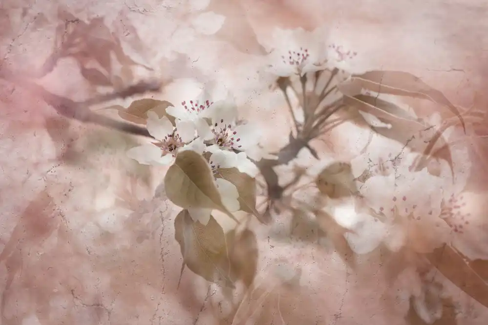 Parker, Jacky: Fiore