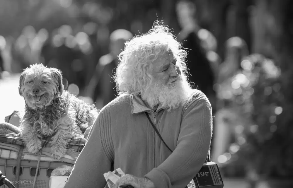 PacodlaCorte: Compagni