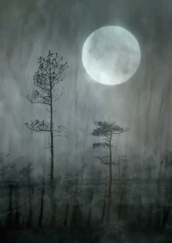 Sillèn, Christina: Sotto la luna