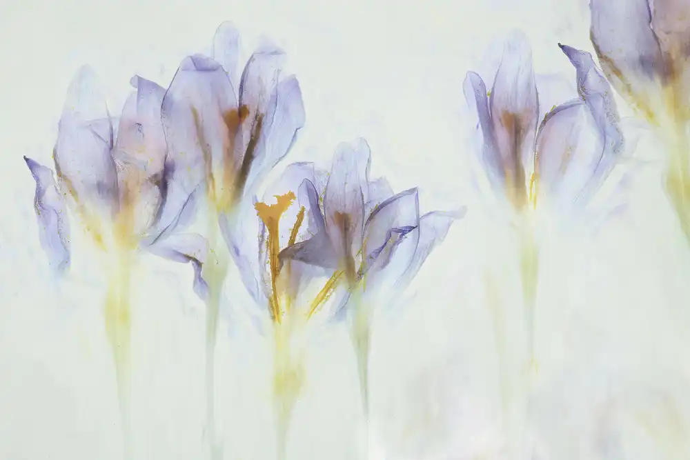 Talen, Nel: Frühling