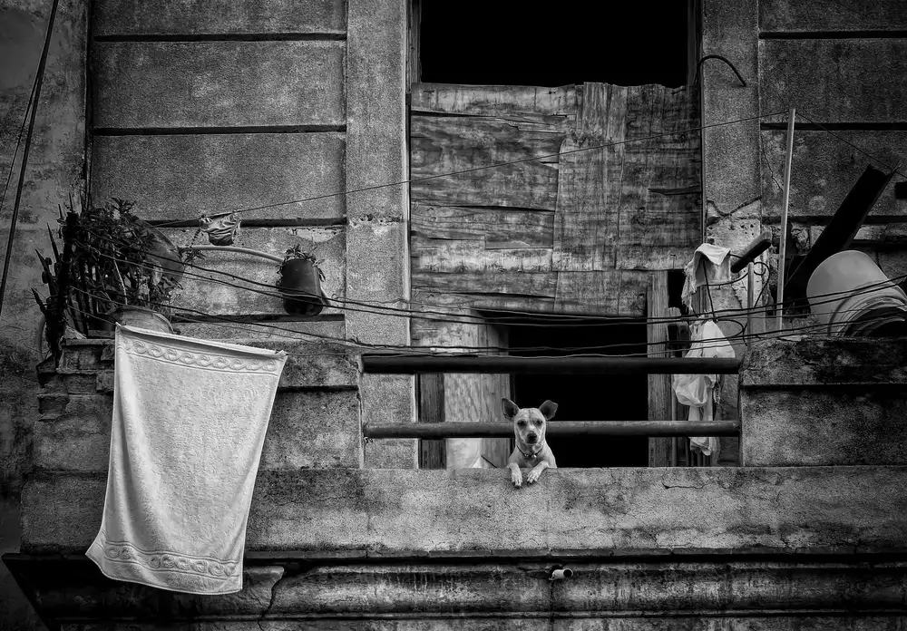 Labagnara, Roxana: Balcone