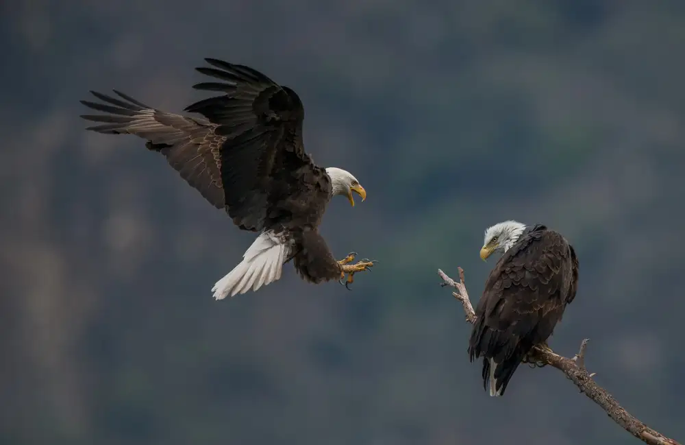 KennyC: Dove sei stato?