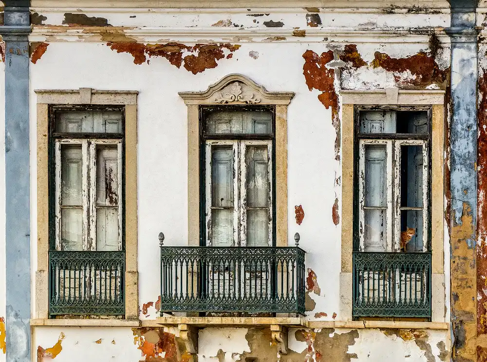 Dauria, Adam: Und auch die Katze...