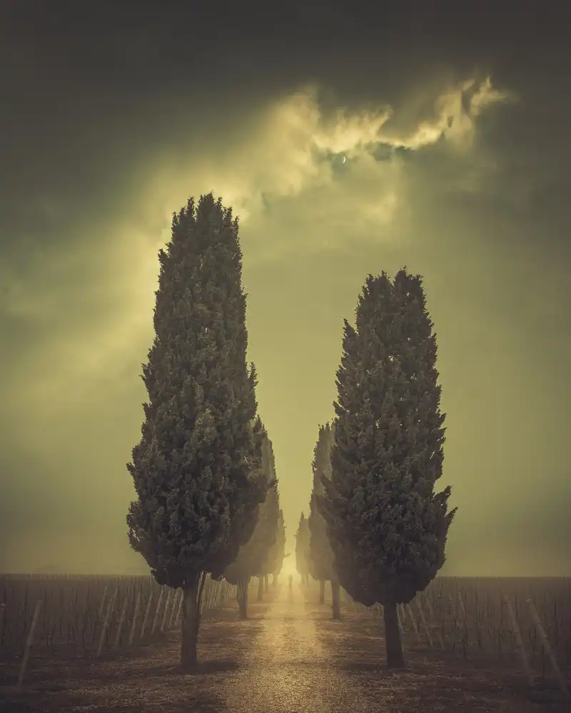 Fraccaroli, Andrea: Nessun nome