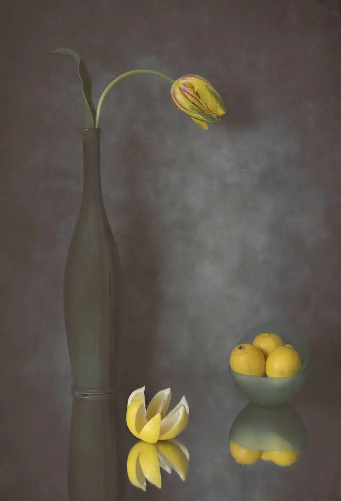 Jacobs, Lydia: Tulipano e limoni