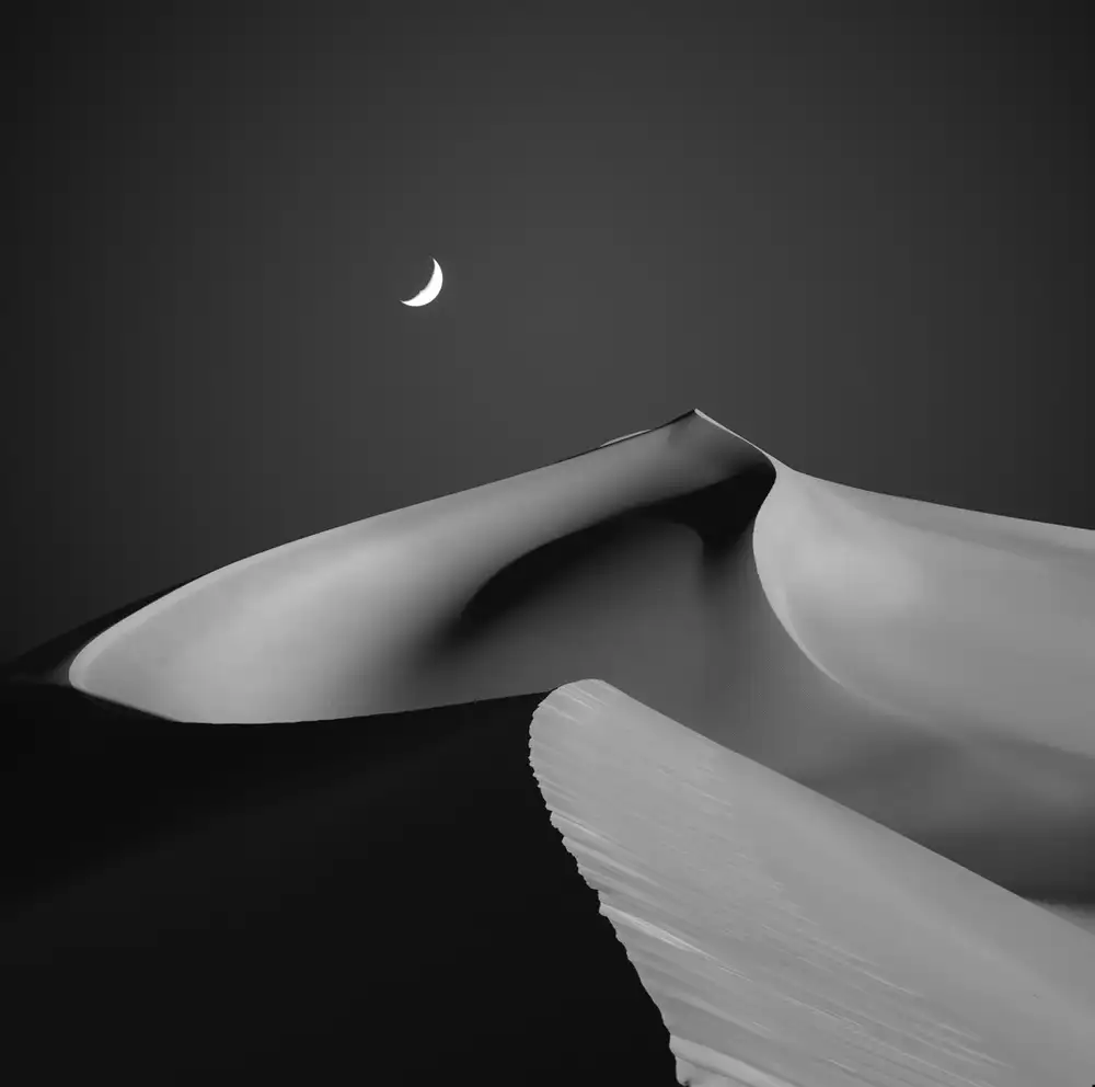 Shanyewuyu: Deserto