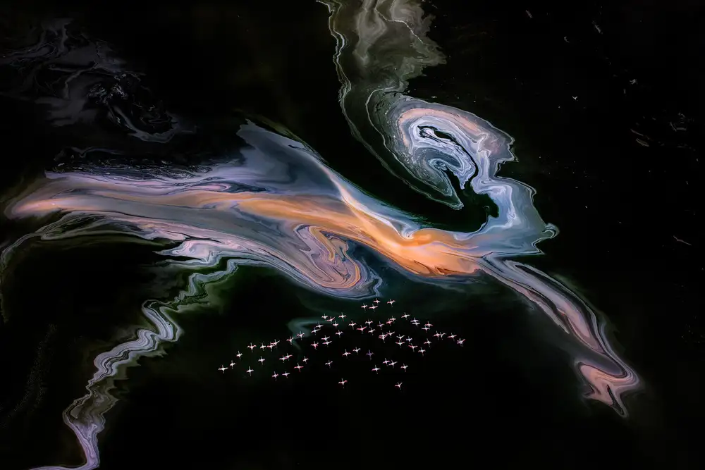 Wei, and Siyu: Fenicotteri e una creatura misteriosa sul lago Magadi