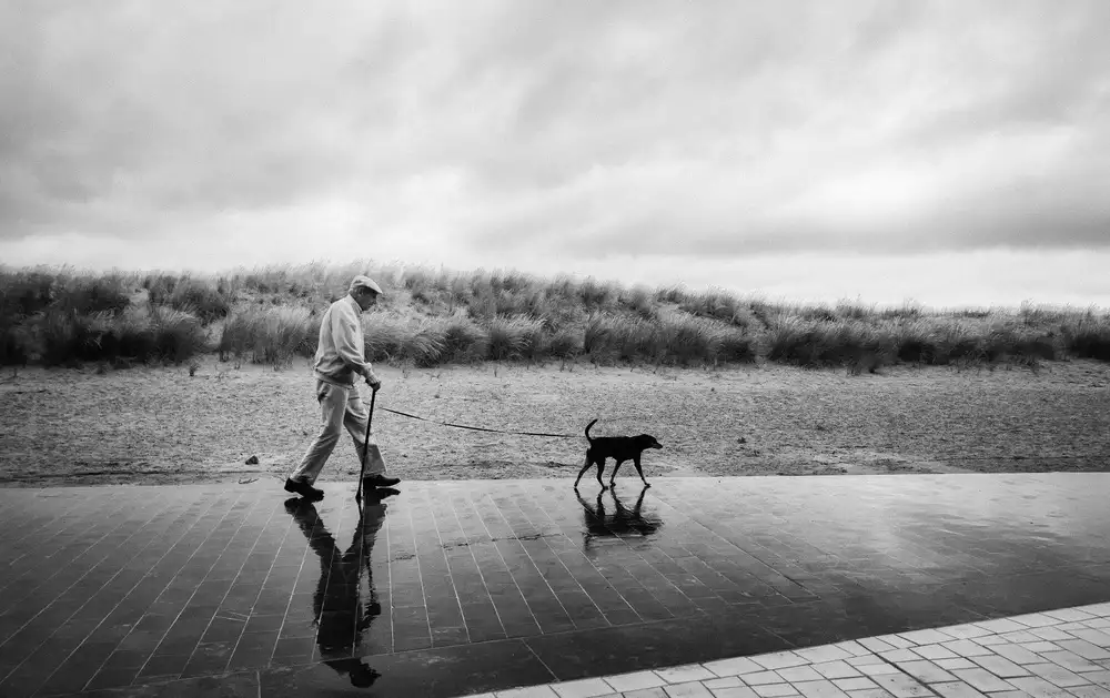 Flour, Jef: Un uomo,un cane