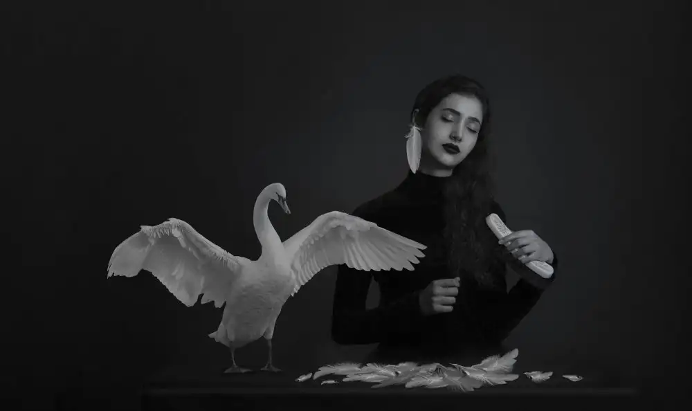 Adelrashidi: Schwarzer Schwan