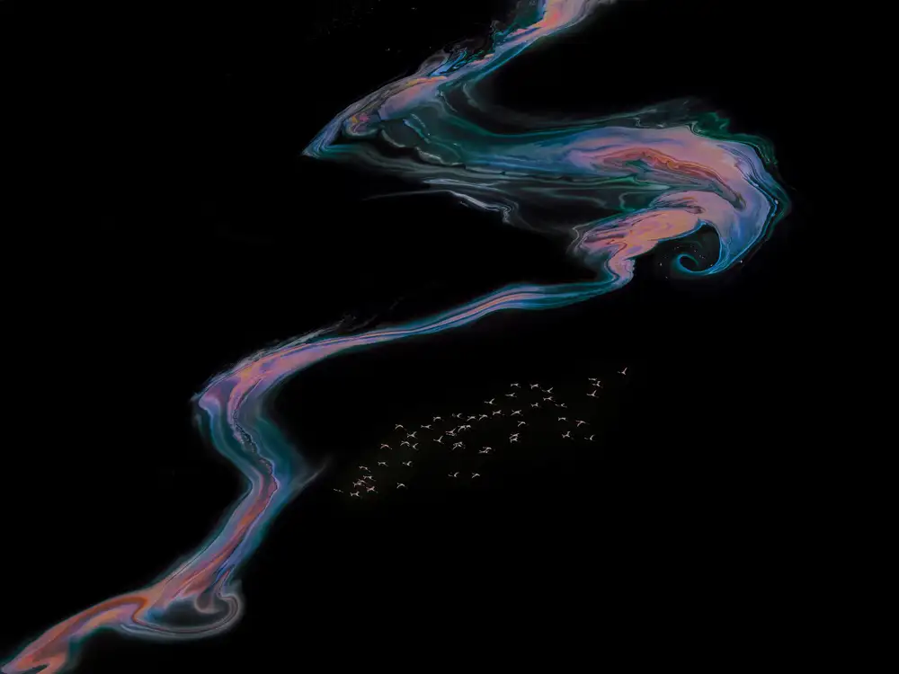 Wei, and Siyu: fenicotteri in un Galaxy 3