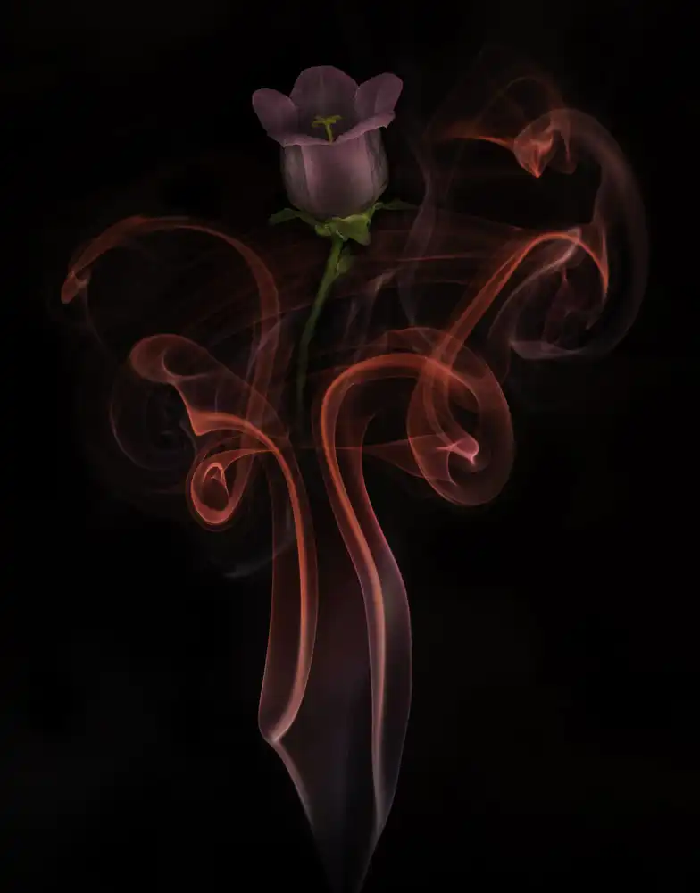 Yakubovitch, Azriel: Glockentanz der Campanula