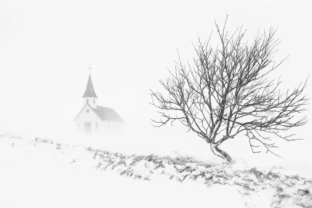 Xu, Tony: Nella tempesta di neve