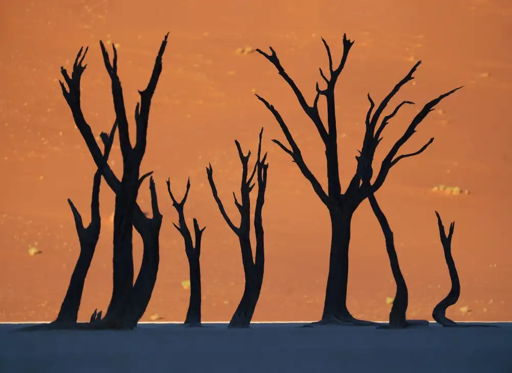 Intarob, Sarawut: Deadvlei