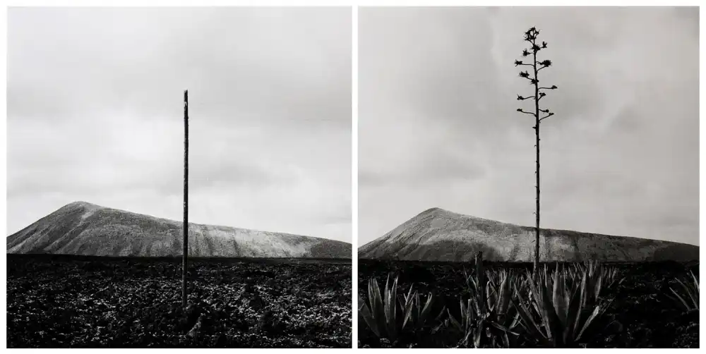 Limberg, Huib: Montagne del fuoco