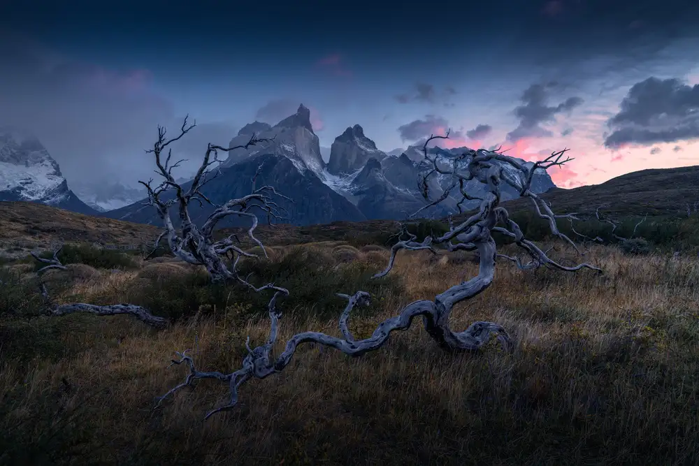 Scheiffele, Christian: Torres del Paine